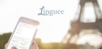 Dictionary Linguee for PC