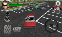 Crazy Parking Car King 3D APK