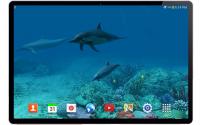 Dolphins Live Wallpaper for PC