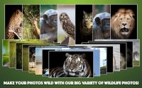 APK di cornici per foto di animali selvatici
