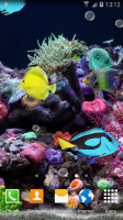 Coral Fish 3D Live Wallpaper for PC