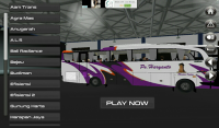IDBS Bus Simulator for PC