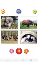 Animal sounds - App for kids APK