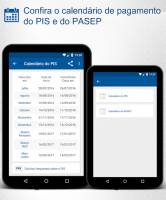 Consulta PIS PASEP Calendário for PC