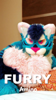 Furry Amino for Chat and News for PC