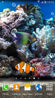 Coral Fish 3D Live Wallpaper for PC