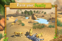 Simulatore di famiglia di ghepardi per PC