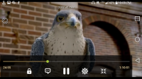 321 Media Player for PC