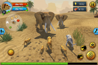 Simulatore di famiglia di ghepardi per PC
