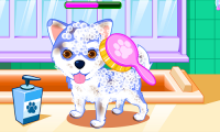 Puppy & kitty salon APK