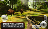 DEER HUNTER RELOADED APK