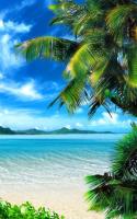 Tropical Beach Live Wallpaper for PC