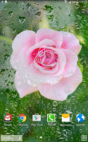 Roses Wallpaper for PC
