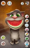 Talking Tom Cat for PC