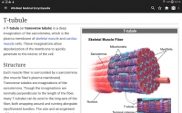 Medical Wikipedia (Offline) for PC