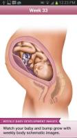 BabyBump Schwangerschaft Pro für PC