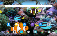 Coral Fish 3D Live Wallpaper for PC