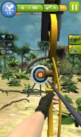 Archery Master 3D for PC