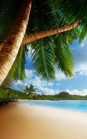 Tropical Beach Live Wallpaper for PC