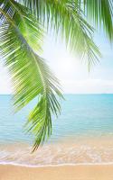 Tropical Beach Live Wallpaper for PC