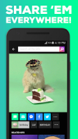 GIPHY. All the GIFS APK