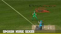 Big Bash 2016 for PC