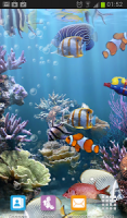 The real aquarium - HD APK