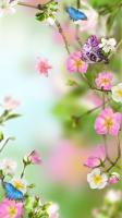 Flowers Live Wallpaper for PC