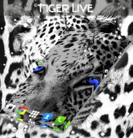 Tiger Live Wallpaper for PC