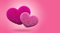 Fluffy Hearts Live Wallpaper for PC