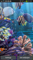 The real aquarium - HD APK