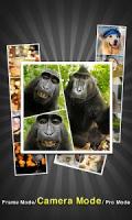 PicFrame - Photo Collage APK