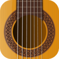 Echte Gitarre – Virtueller Gitarrenprofi