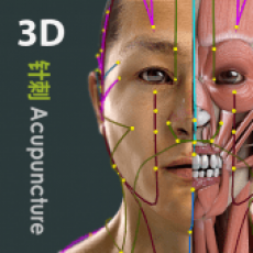 Visuele Acupunctuur 3D