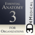 Anatomia essenziale 3 per le Org.