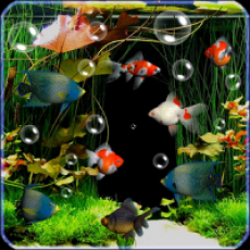 Aquarium Live Wallpaper Free