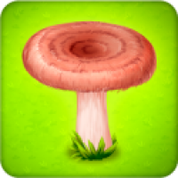 Forest Clans – Mushroom Farm